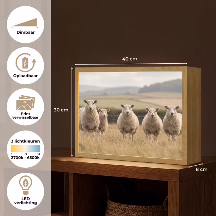Lightbox - Wandlamp - Schapen - Weidenlandschap - Heuvels — 10
