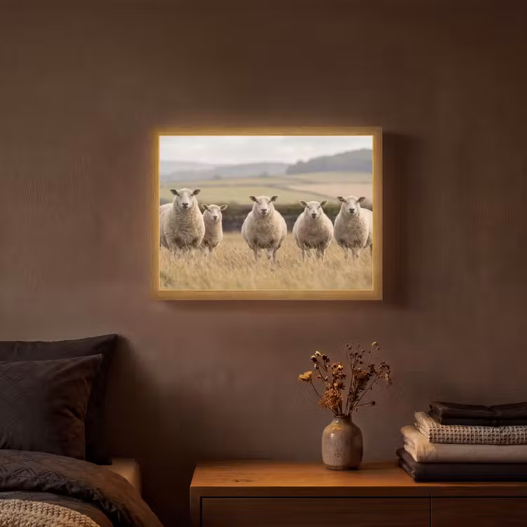 Lightbox - Wandlamp - Schapen - Weidenlandschap - Heuvels — 3