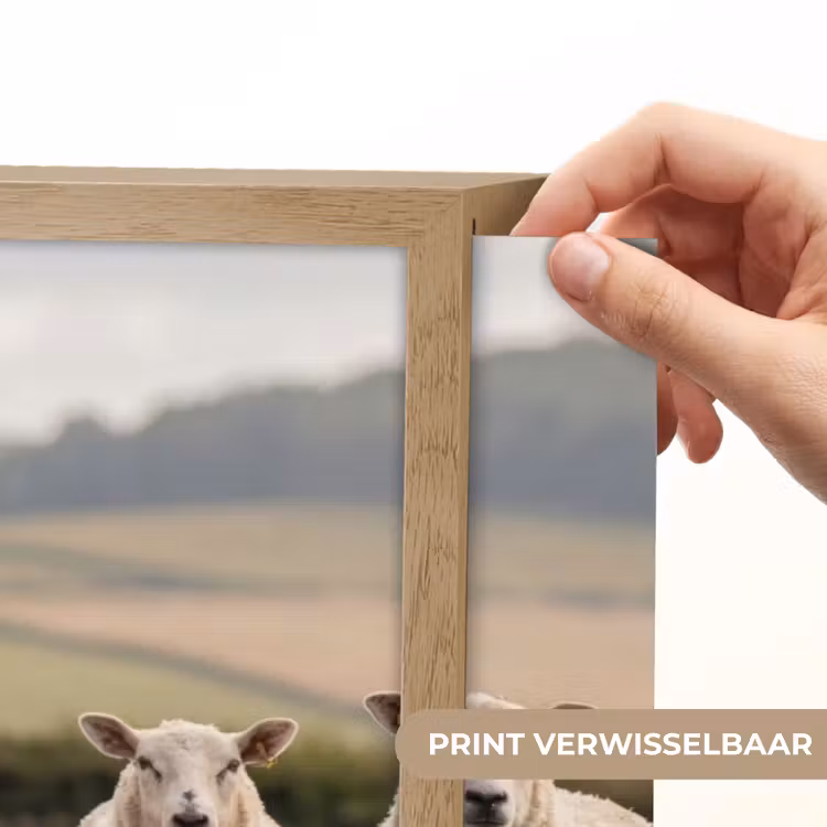 Lightbox - Wandlamp - Schapen - Weidenlandschap - Heuvels — 5