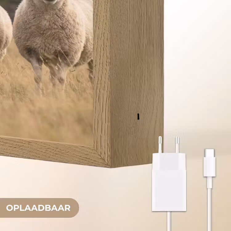 Lightbox - Wandlamp - Schapen - Weidenlandschap - Heuvels — 7