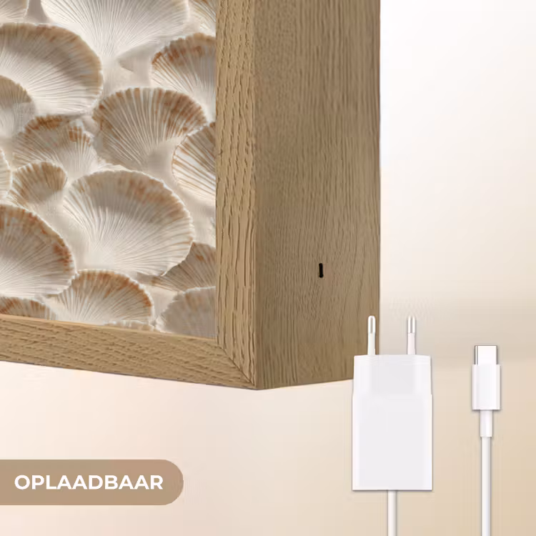 Lightbox - Wandlamp - Schelpen - Waaiervorm - Wit — 7