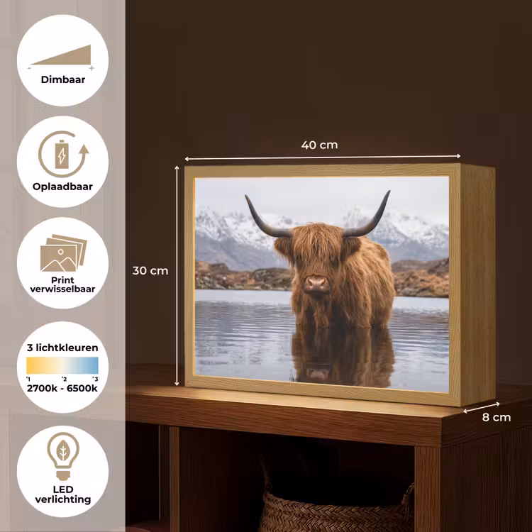 Lightbox - Wandlamp - Schotse hooglander - Bruin - Water — 10