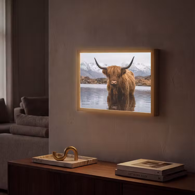 Lightbox - Wandlamp - Schotse hooglander - Bruin - Water — 2