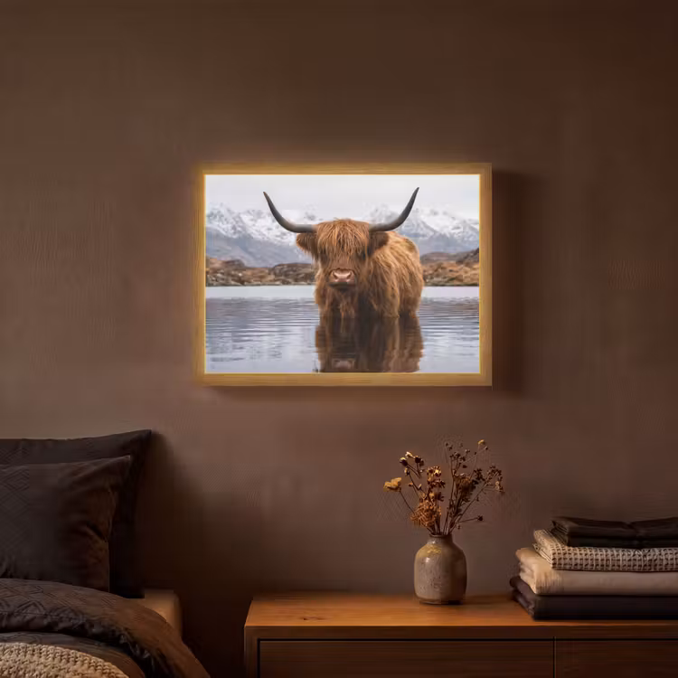 Lightbox - Wandlamp - Schotse hooglander - Bruin - Water — 3
