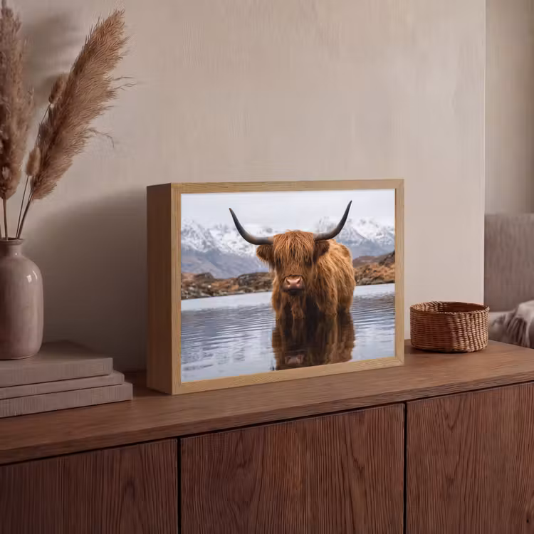Lightbox - Wandlamp - Schotse hooglander - Bruin - Water — 4