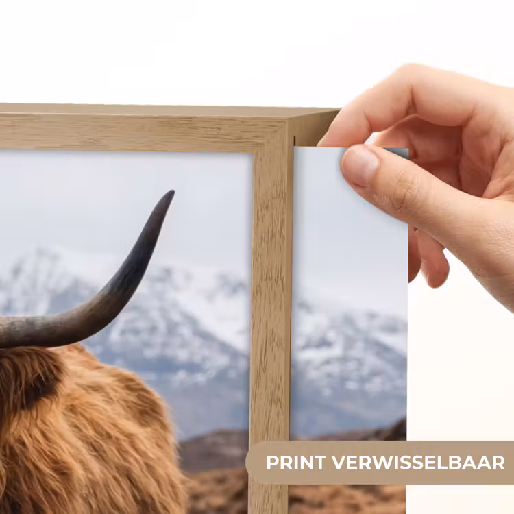 Lightbox - Wandlamp - Schotse hooglander - Bruin - Water — 5