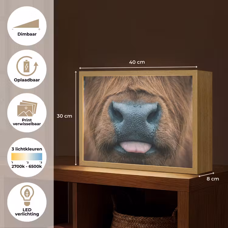 Lightbox - Wandlamp - Schotse hooglander - Neus - Bruin — 10