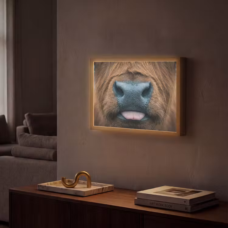 Lightbox - Wandlamp - Schotse hooglander - Neus - Bruin — 2