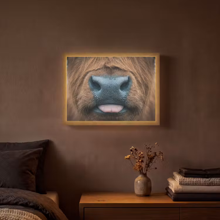 Lightbox - Wandlamp - Schotse hooglander - Neus - Bruin — 3