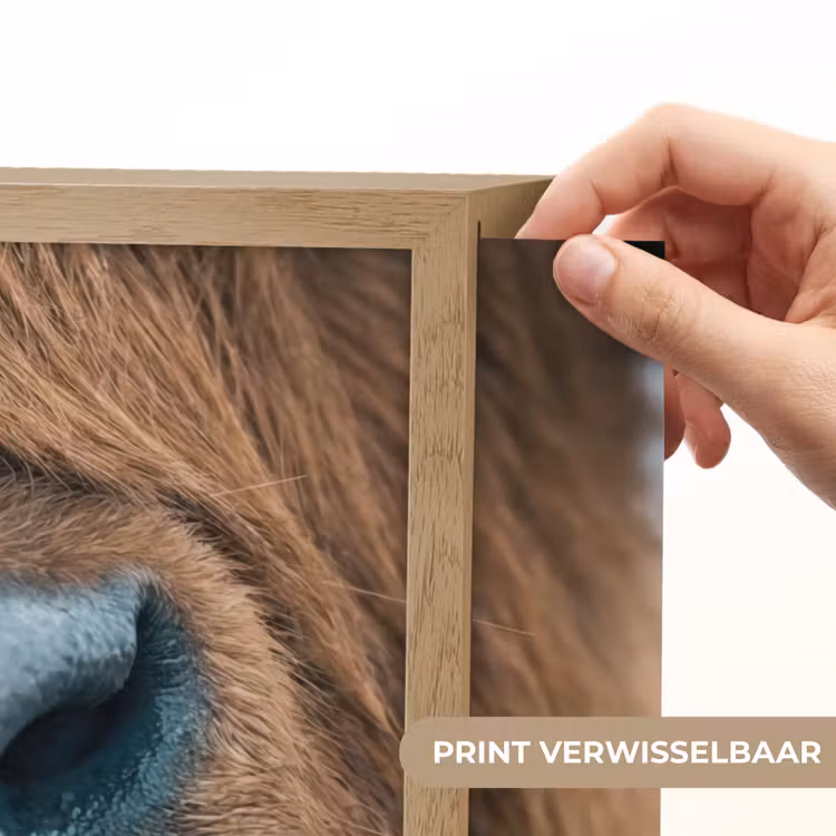 Lightbox - Wandlamp - Schotse hooglander - Neus - Bruin — 5