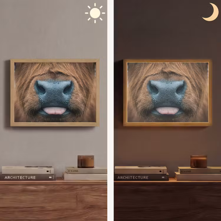 Lightbox - Wandlamp - Schotse hooglander - Neus - Bruin — 6