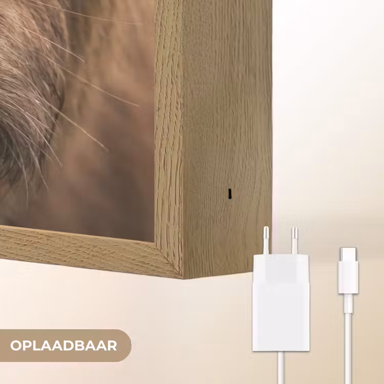 Lightbox - Wandlamp - Schotse hooglander - Neus - Bruin — 7