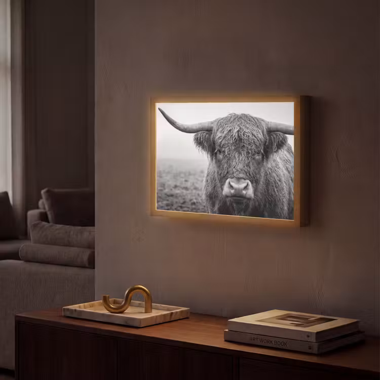 Lightbox - Wandlamp - Schotse hooglander - Zwart - Wit - Gras — 2