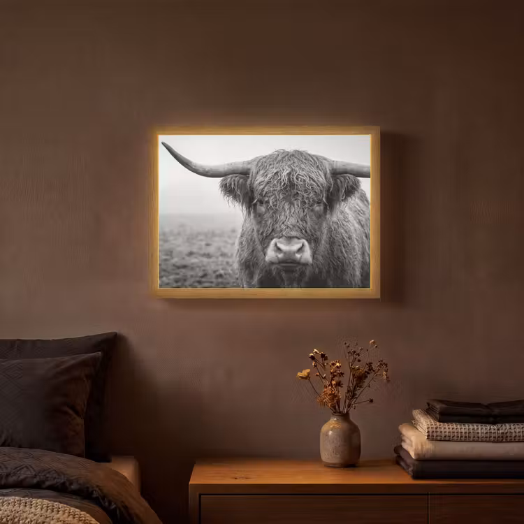 Lightbox - Wandlamp - Schotse hooglander - Zwart - Wit - Gras — 3