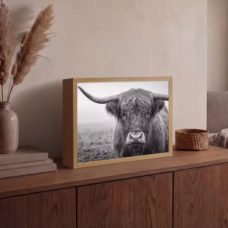Lightbox - Wandlamp - Schotse hooglander - Zwart - Wit - Gras — 4