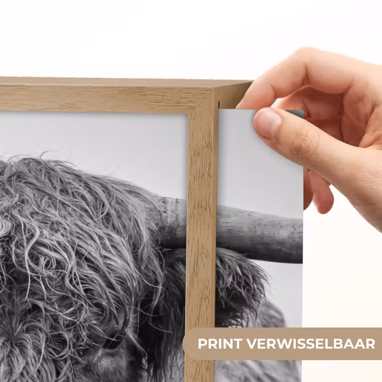 Lightbox - Wandlamp - Schotse hooglander - Zwart - Wit - Gras — 5