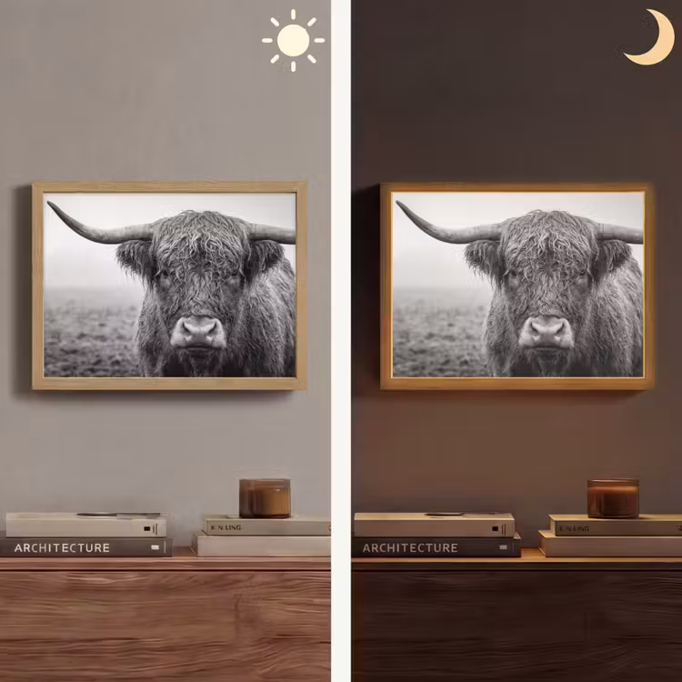 Lightbox - Wandlamp - Schotse hooglander - Zwart - Wit - Gras — 6