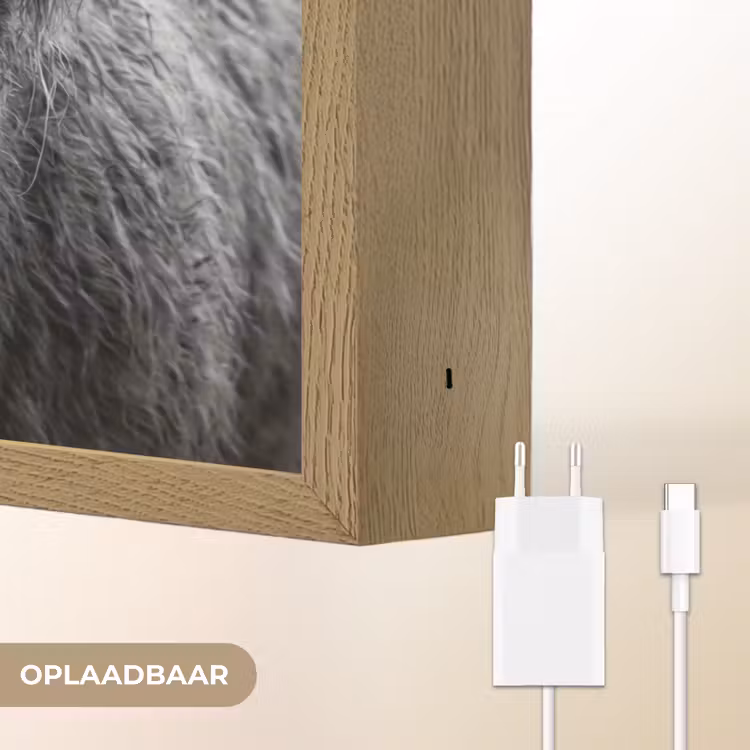 Lightbox - Wandlamp - Schotse hooglander - Zwart - Wit - Gras — 7