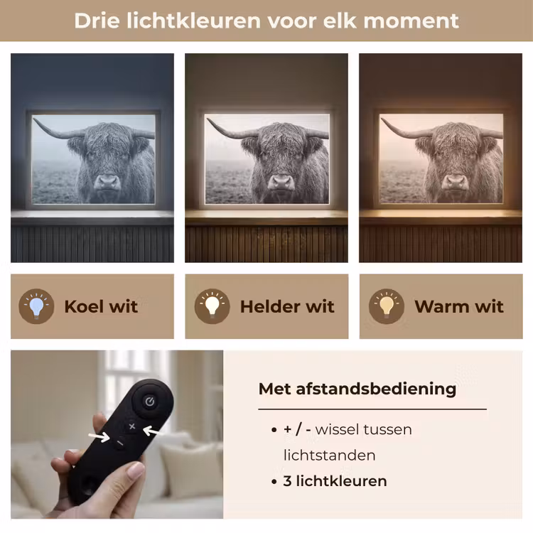 Lightbox - Wandlamp - Schotse hooglander - Zwart - Wit - Gras — 8