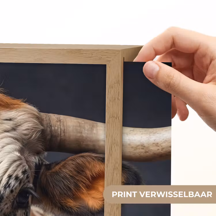 Lightbox - Wandlamp - Stier - Kleurrijk - Hoorns — 5