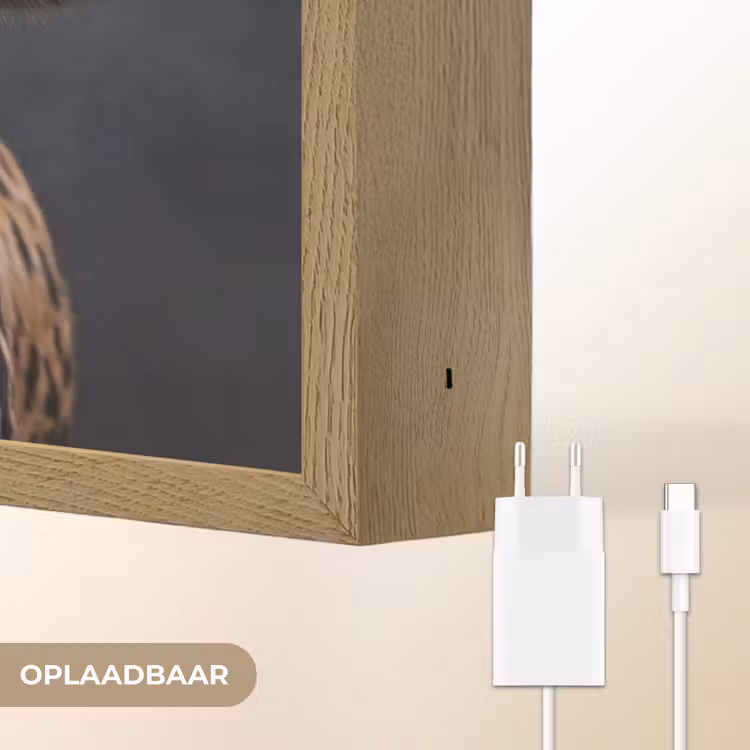 Lightbox - Wandlamp - Stier - Kleurrijk - Hoorns — 7