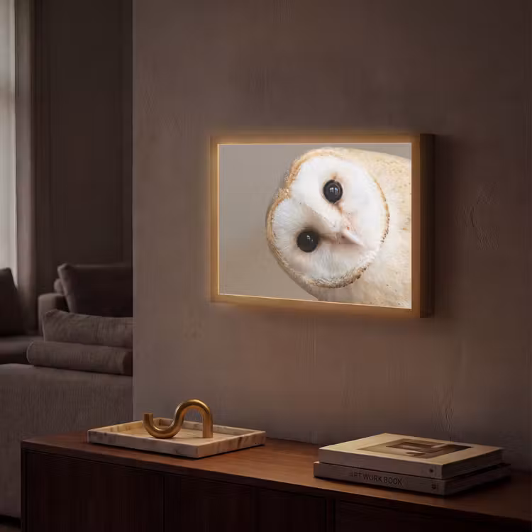 Lightbox - Wandlamp - Uil - Bruin - Wit — 2