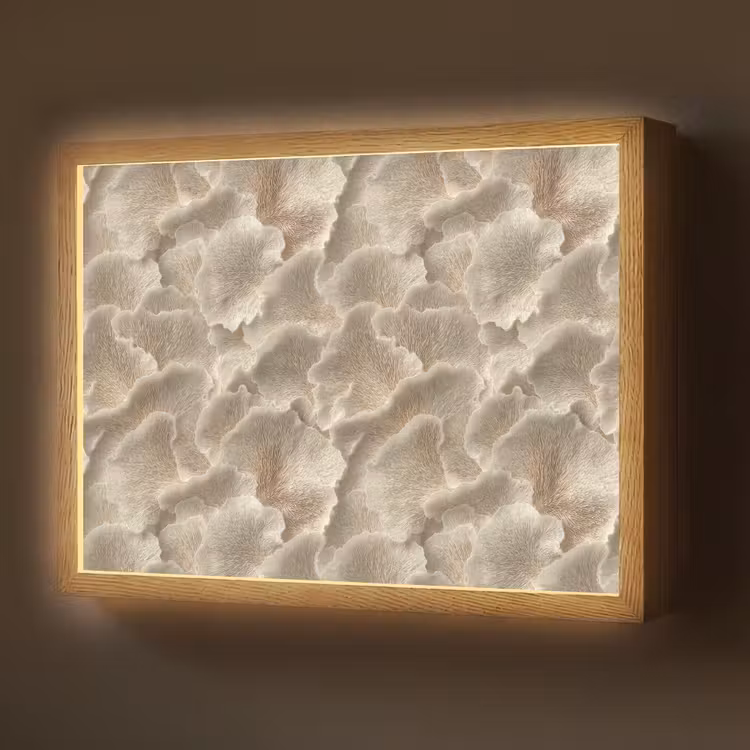 Lightbox - Wandlamp - Waaierstructuren - Beige - Vezeltextuur — 1
