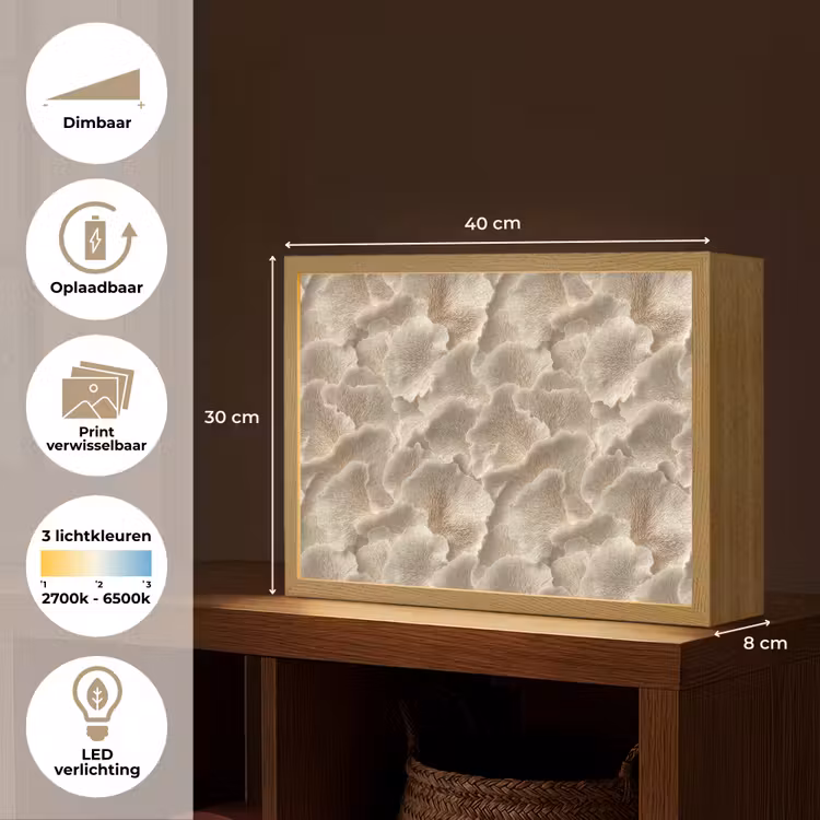 Lightbox - Wandlamp - Waaierstructuren - Beige - Vezeltextuur — 10