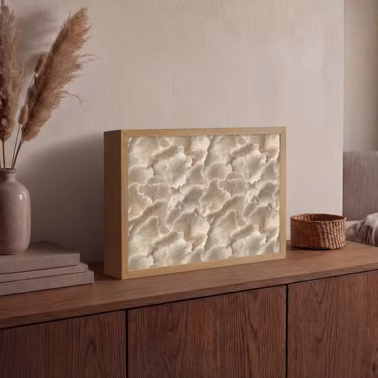 Lightbox - Wandlamp - Waaierstructuren - Beige - Vezeltextuur — 4