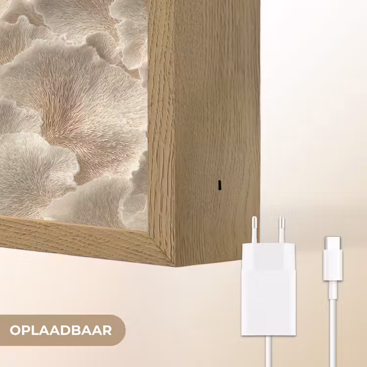 Lightbox - Wandlamp - Waaierstructuren - Beige - Vezeltextuur — 7
