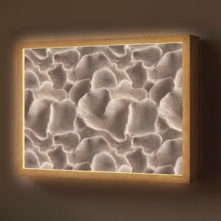 Lightbox - Wandlamp - Waaiervorm - Beige - Vezel textuur — 1