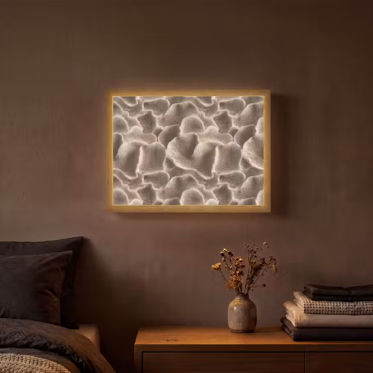 Lightbox - Wandlamp - Waaiervorm - Beige - Vezel textuur — 3