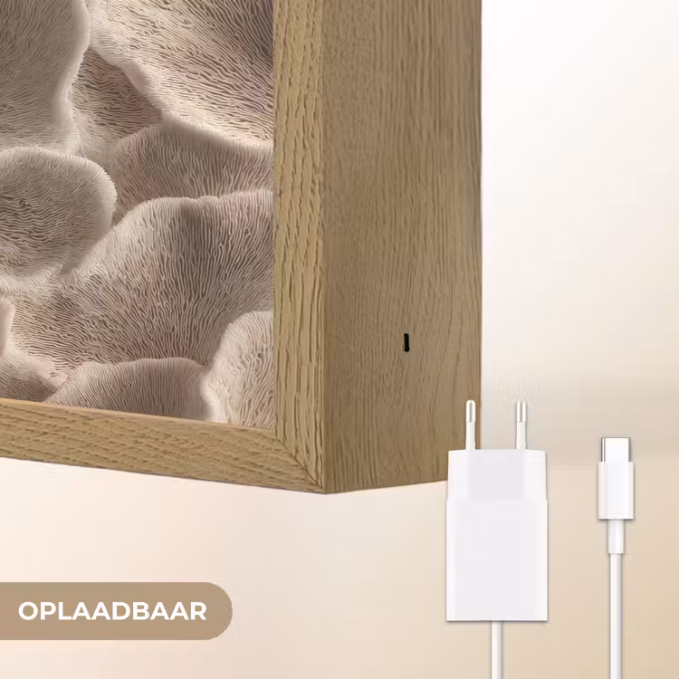 Lightbox - Wandlamp - Waaiervorm - Beige - Vezel textuur — 7