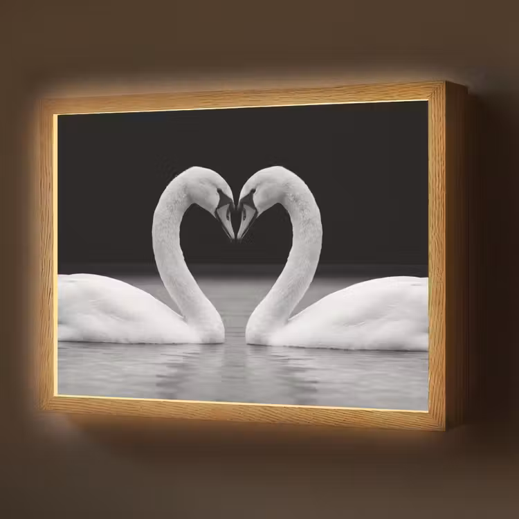Lightbox - Wandlamp - Zwanen - Hart - Zwart - Wit — 1