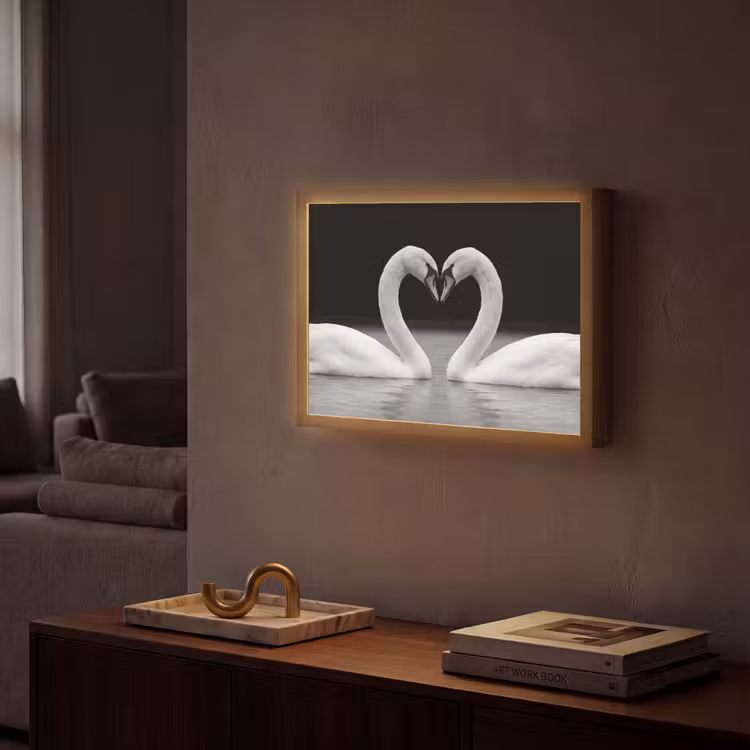Lightbox - Wandlamp - Zwanen - Hart - Zwart - Wit — 2