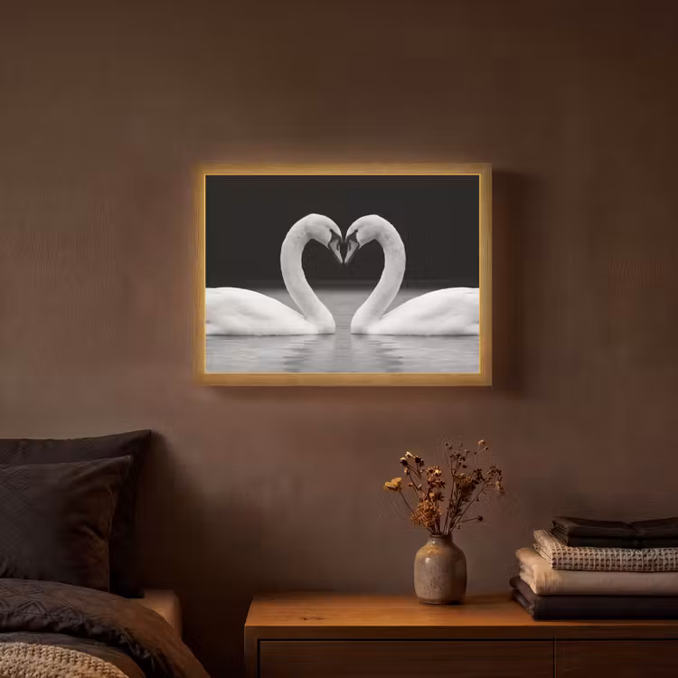 Lightbox - Wandlamp - Zwanen - Hart - Zwart - Wit — 3