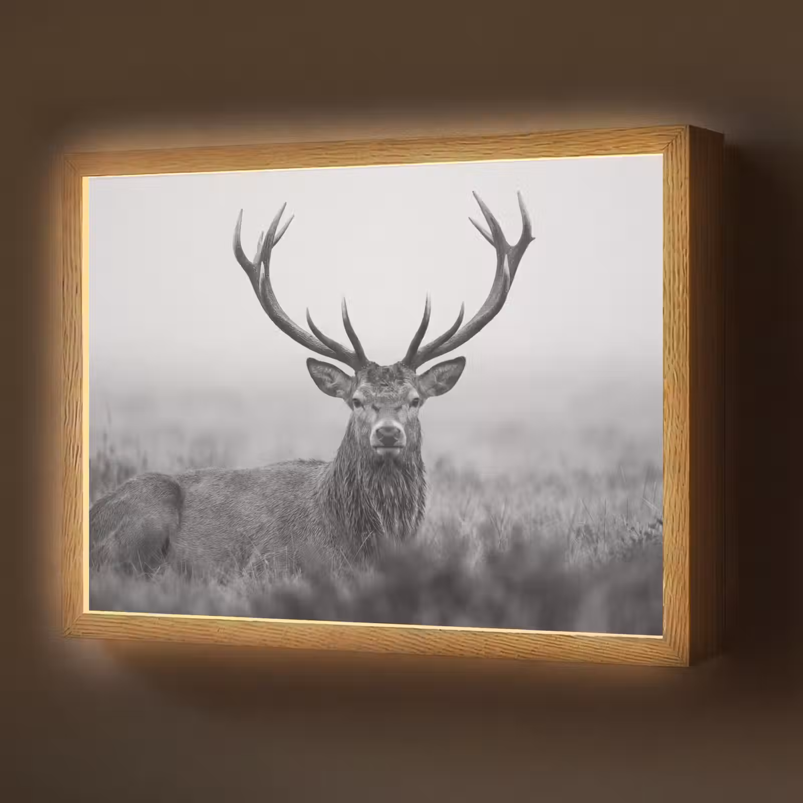 Lightbox - Wandlamp - Hert - Mistig - Zwart - Wit — 1