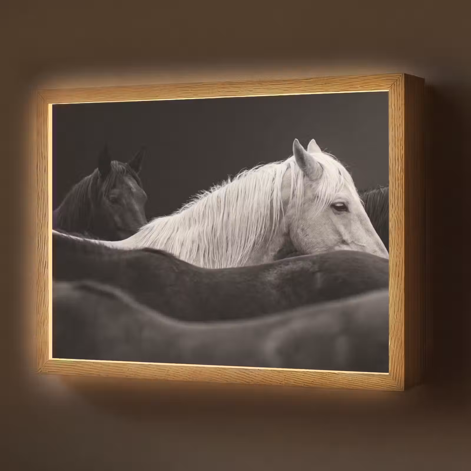 Lightbox - Wandlamp - Paarden - Zwart - Wit - Kudde — 1