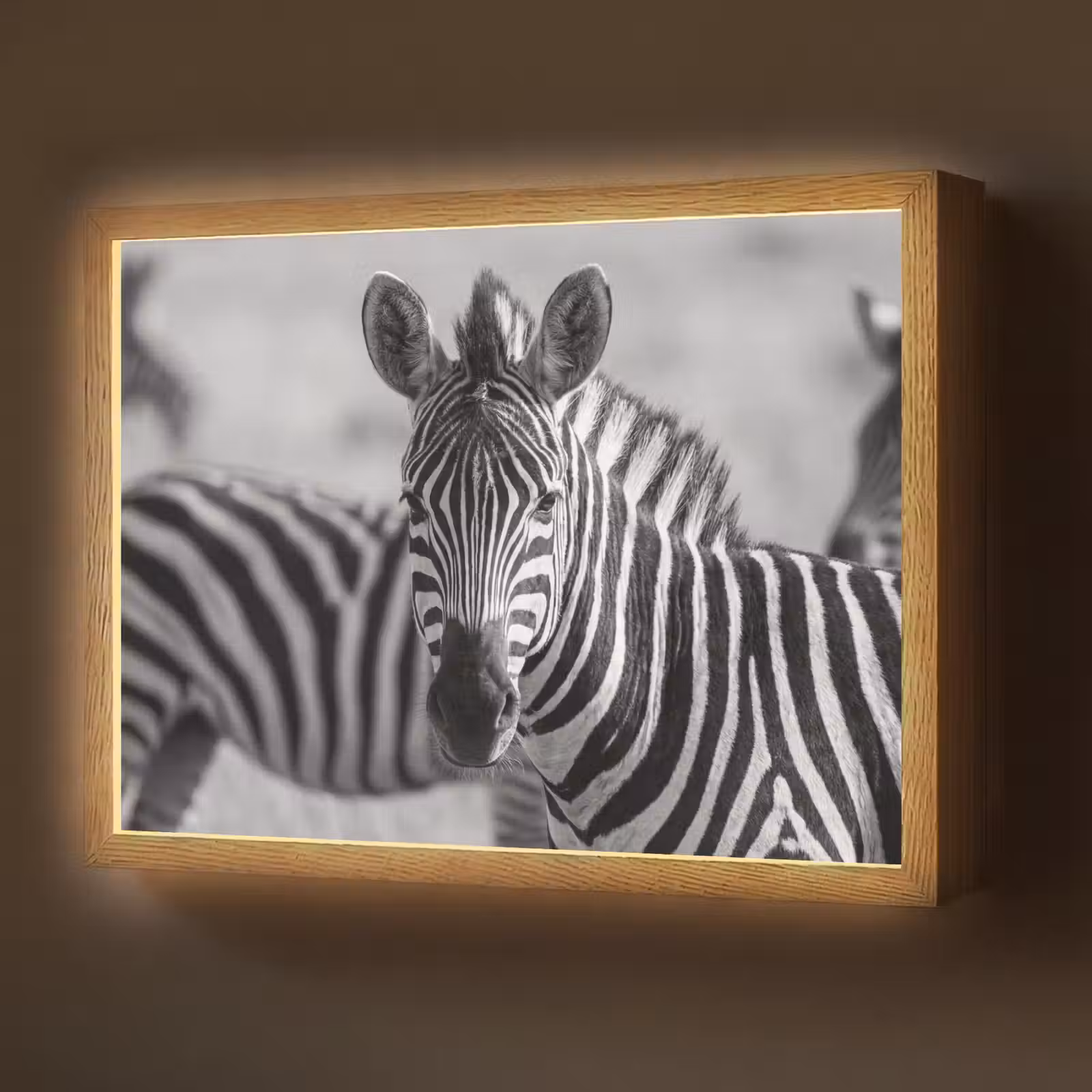 Lightbox - Wandlamp - Zebra's - Zwart - Wit — 1