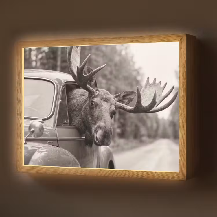 Lightbox - Wandlamp - Eland - Auto - Gewei - Zwart - Wit — 1