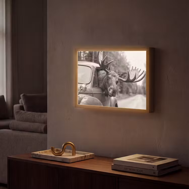 Lightbox - Wandlamp - Eland - Auto - Gewei - Zwart - Wit — 2