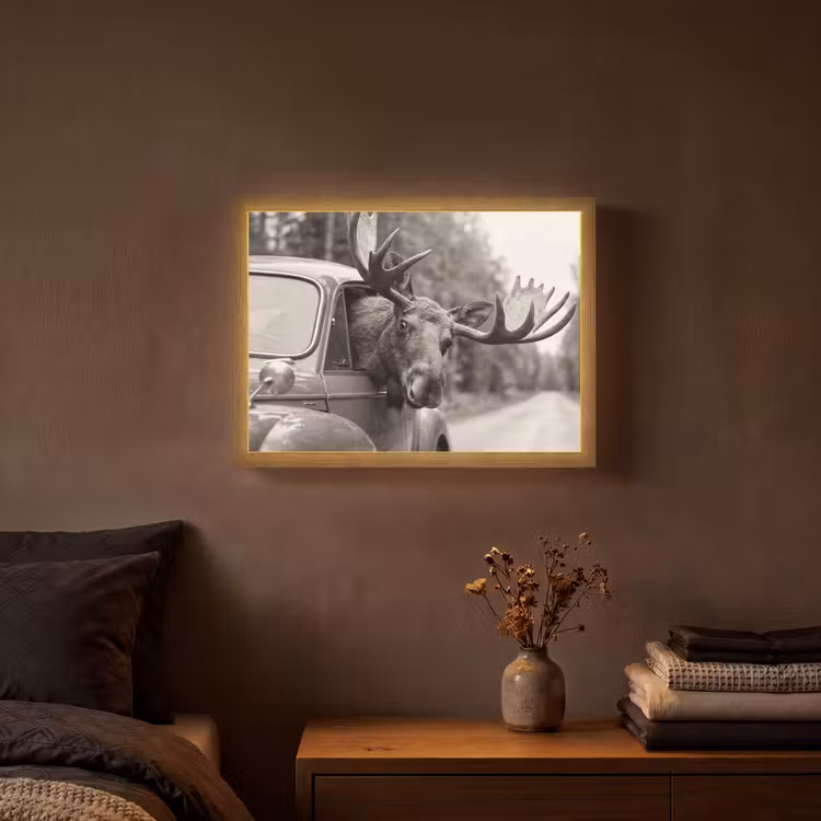 Lightbox - Wandlamp - Eland - Auto - Gewei - Zwart - Wit — 3