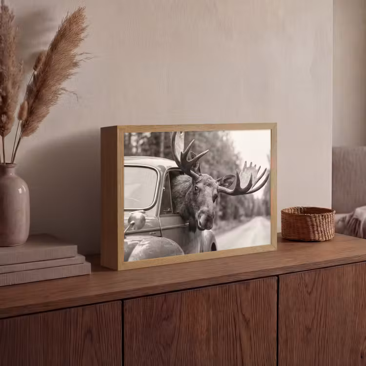 Lightbox - Wandlamp - Eland - Auto - Gewei - Zwart - Wit — 4