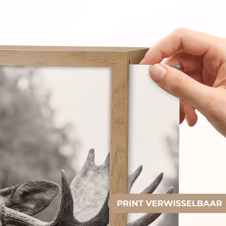 Lightbox - Wandlamp - Eland - Auto - Gewei - Zwart - Wit — 5