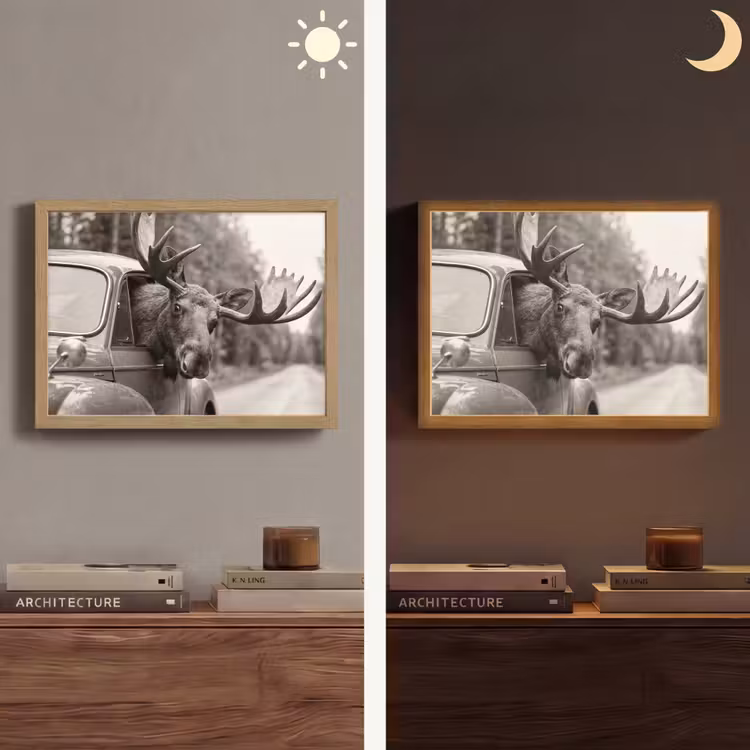 Lightbox - Wandlamp - Eland - Auto - Gewei - Zwart - Wit — 6