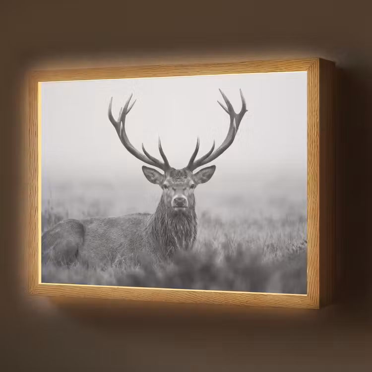 Lightbox - Wandlamp - Hert - Mistig - Zwart - Wit — 1