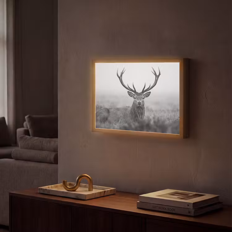 Lightbox - Wandlamp - Hert - Mistig - Zwart - Wit — 2