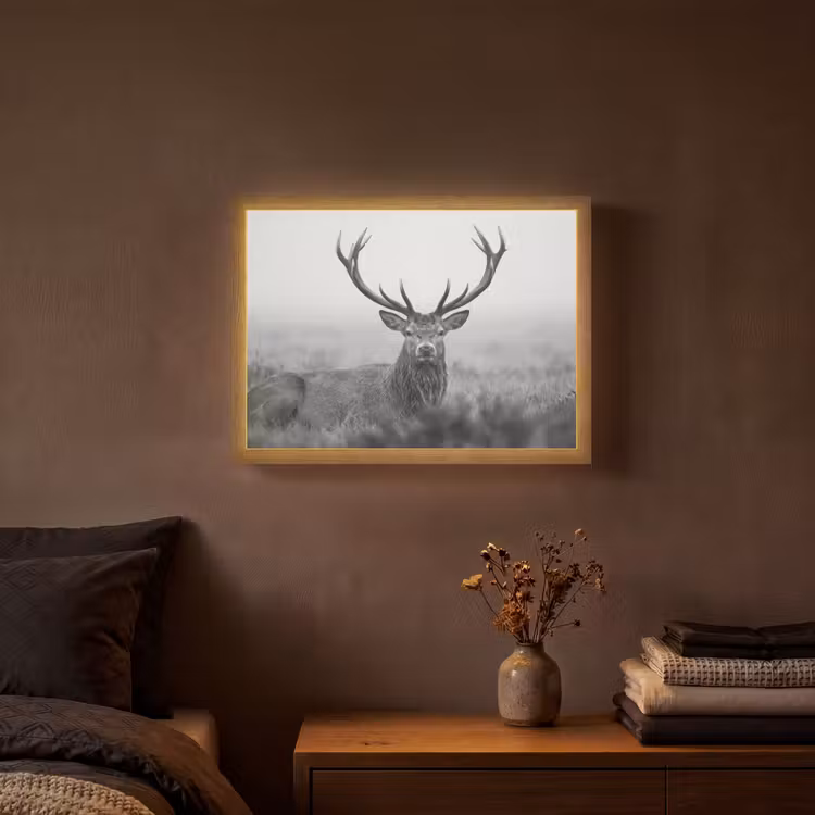 Lightbox - Wandlamp - Hert - Mistig - Zwart - Wit — 3