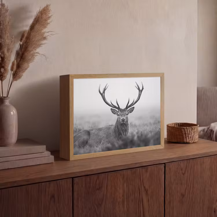 Lightbox - Wandlamp - Hert - Mistig - Zwart - Wit — 4