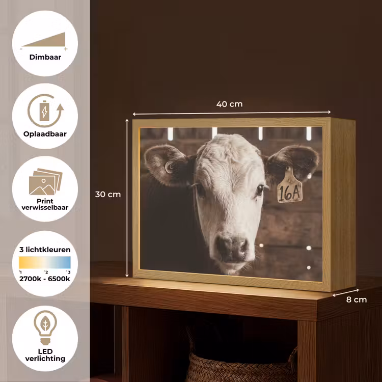Lightbox - Wandlamp - Kalf - Oormerk - Houten stal — 10